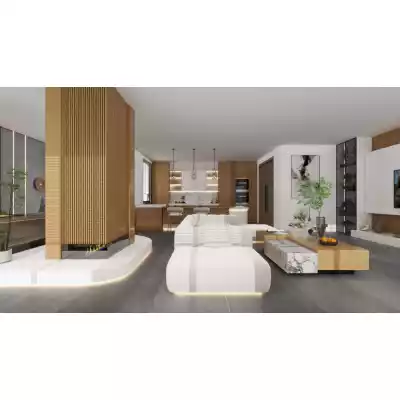 Gạch Apodio C86MD614