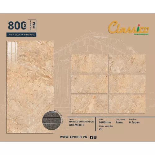 Gạch Apodio C86ME816