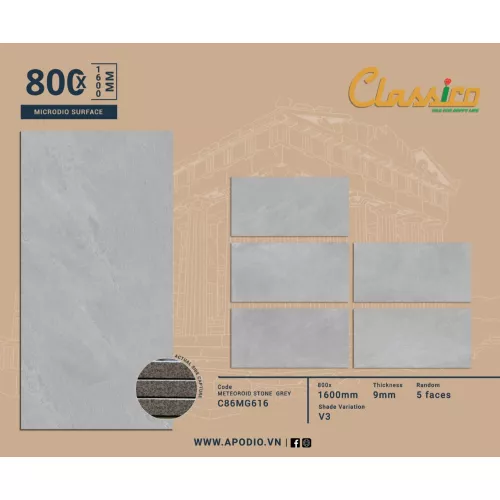 Gạch Apodio C86MG616
