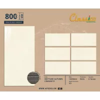 Gạch Apodio C86NA810