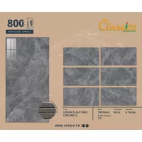 Gạch Apodio C86UA815