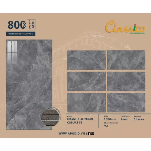 Gạch Apodio C86UA815