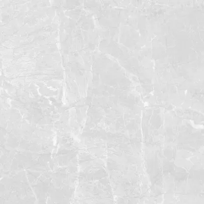 Gạch Apodio C88SW806