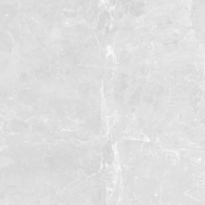 Gạch Apodio C88SW806