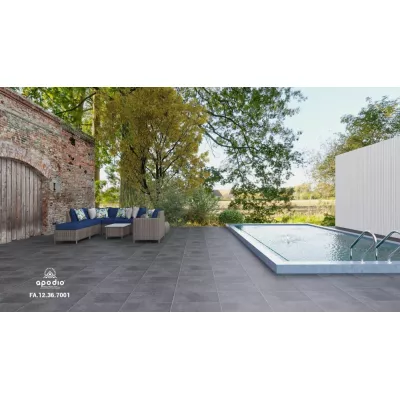 Gạch Apodio FA12367001