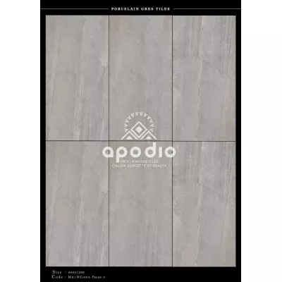 Gạch Apodio M61NG404