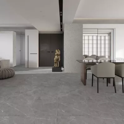 Gạch Apodio M61PG503