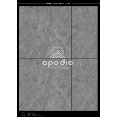 Gạch Apodio M61PG503