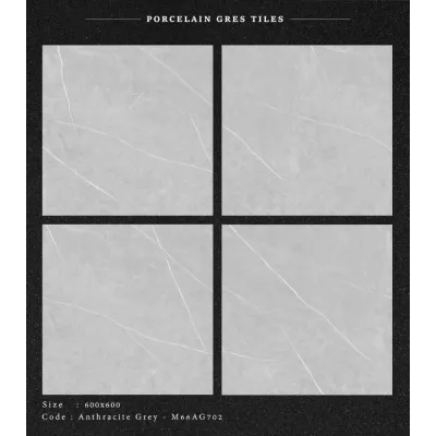 Gạch Apodio M66AG702