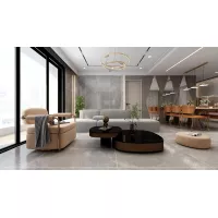 Gạch Apodio MA611024