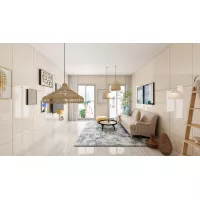 Gạch Apodio MA618002