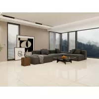 Gạch Apodio MA618004