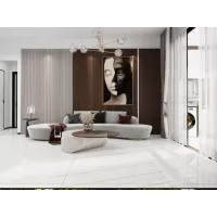 Gạch Apodio MA618008