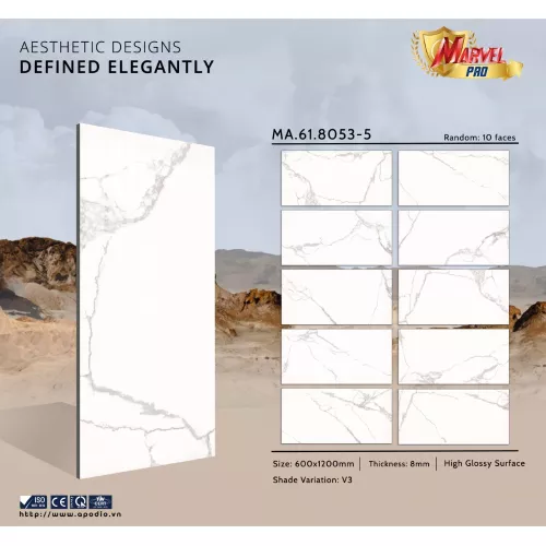 Gạch Apodio MA618053