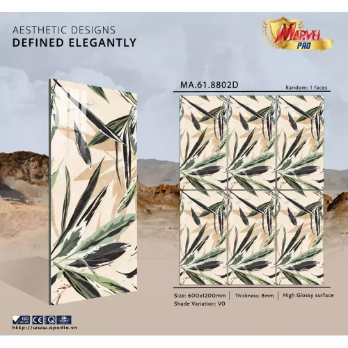 Gạch Apodio MA618802D