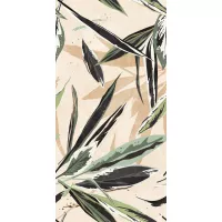 Gạch Apodio MA618802D