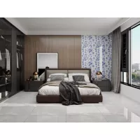 Gạch Apodio MA618803D