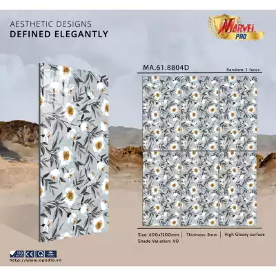 Gạch Apodio MA618804D