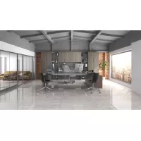 Gạch Apodio MA61PP605