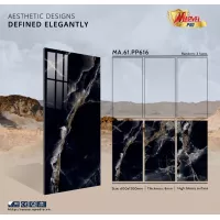 Gạch Apodio MA61PP616