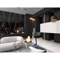 Gạch Apodio MA61PP620