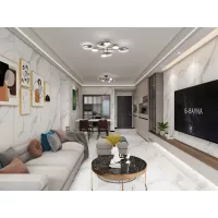 Gạch Apodio MA86PP160