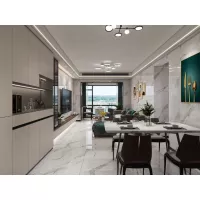 Gạch Apodio MA86PP161