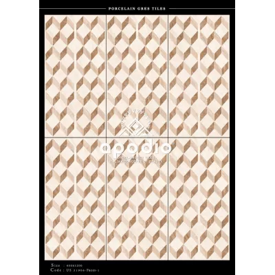 Gạch Apodio US31906 D