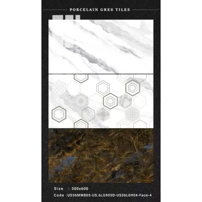 Gạch Apodio US36MW805-US36LG905D-US36LG904