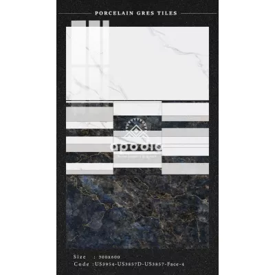 Gạch Apodio US3954-US3857D-US3857