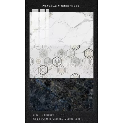 Gạch Apodio US3955-US3855D-US3855