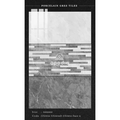 Gạch Apodio US3956-US3856D-US3856