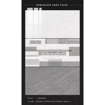 Gạch Apodio US3961-US3861D-US3861