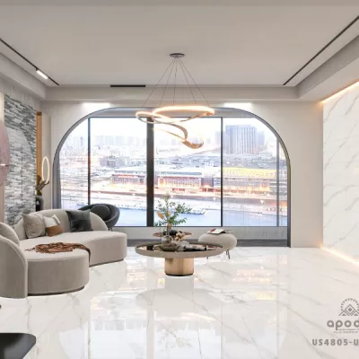 Gạch Apodio US4805