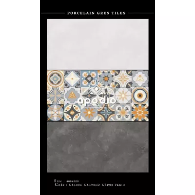 Gạch Apodio US4806-US4906D-US4906