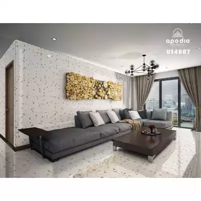 Gạch Apodio US4807