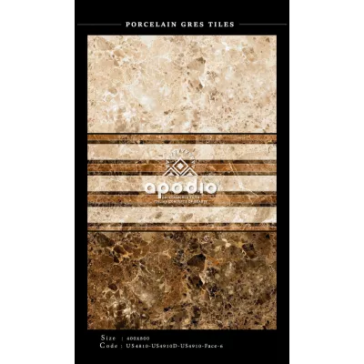 Gạch Apodio US4810-US4910D-US4910