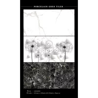 Gạch Apodio US4811-US4911D-US4911