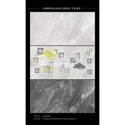 Gạch Apodio US4812-US4912D-US4912