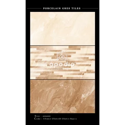 Gạch Apodio US4813-US4913D-US4913