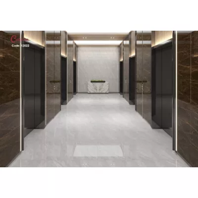 Gạch Catalan 12022