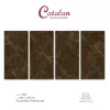 Gạch Catalan 12025
