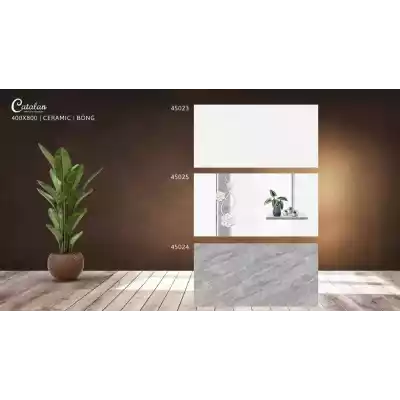 Gạch Catalan 45024