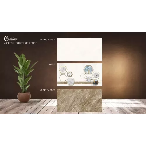 Gạch Catalan 48011