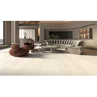 Gạch Eurotile Chiêu Niên CHN X01C