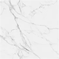 Gạch Monalisa FDS100145M 600x600