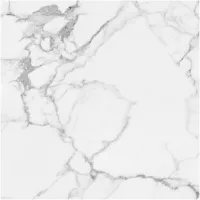 Gạch Monalisa FDS100145M 600x600
