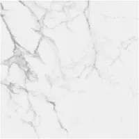 Gạch Monalisa FDS100145M 600x600