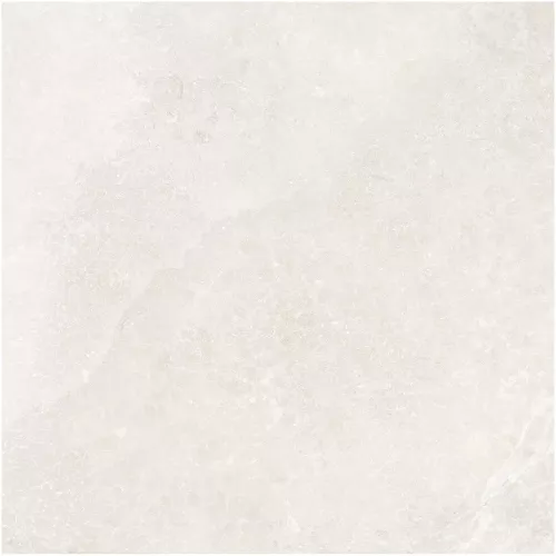 Gạch Monalisa FDS100260M 600x600