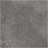 Gạch Monalisa FDS100263M 600x600